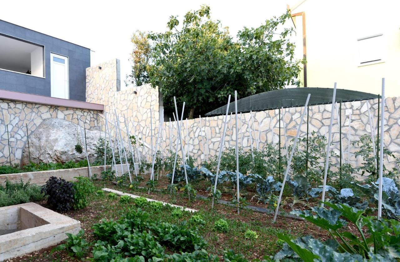Apartments Care Donji Okrug  Εξωτερικό φωτογραφία